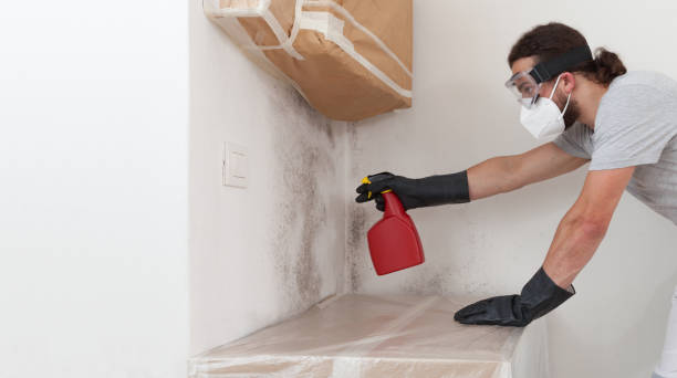 Professional Black Mold Remediation technician working in Accident, MD